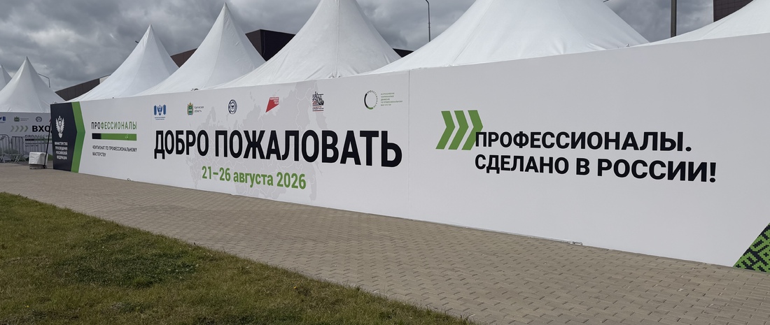 Финал чемпионата «Профессионалы»