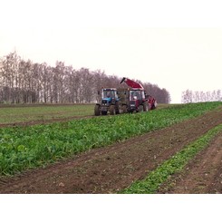 Продажа подборщиков-погрузчиков корнеплодов ППК-6  и другой сельскохозяйственной техники в Московской области, Рязани, Калуге, Туле с доставкой в регионы РФ. Выгодные условия для фермеров. Сервисное обслуживание. Звоните!  ГК АгроТехноПарк