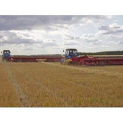 Продажа жаток валковых прицепных STRIVER 900T и другой сельскохозяйственной техники в Московской области, Рязани, Калуге, Туле с доставкой в регионы РФ. Выгодные условия для фермеров. Сервисное обслуживание. Звоните!  ГК АгроТехноПарк