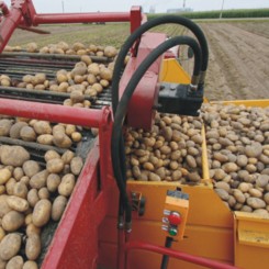 Продажа картофелеуборочных комбайнов ПКК-2-05 РТ25 и другой сельскохозяйственной техники в Московской области, Рязани, Калуге, Туле с доставкой в регионы РФ. Выгодные условия для фермеров. Сервисное обслуживание. Звоните!  ГК АгроТехноПарк