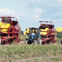 Продажа картофелеуборочных комбайнов ПКК-2-05 РТ25 и другой сельскохозяйственной техники в Московской области, Рязани, Калуге, Туле с доставкой в регионы РФ. Выгодные условия для фермеров. Сервисное обслуживание. Звоните!  ГК АгроТехноПарк